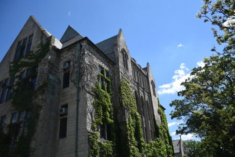 Lewis hall green