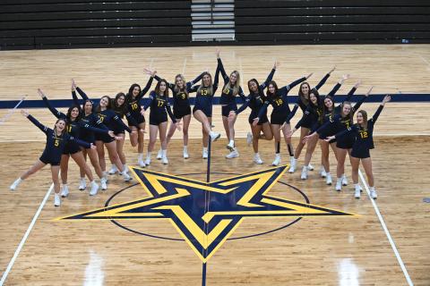 Volleyball new brand