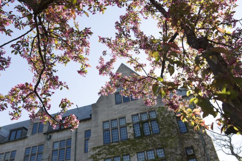 A view of the top exterior of Power Hall as seen through trees with pink flowers in Spring