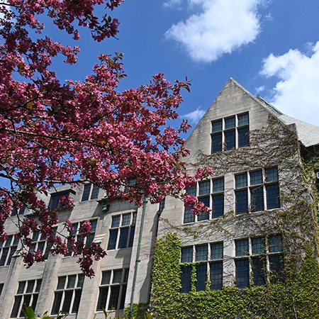 Campus building with flowering trees