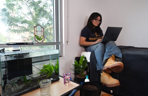 Student with laptop in reisidence hall room
