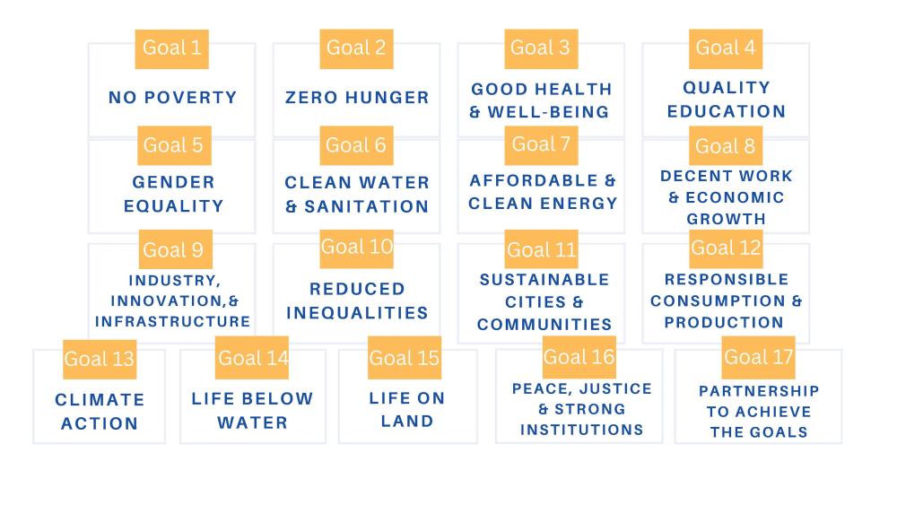 Chart of seventeen sustainability goals