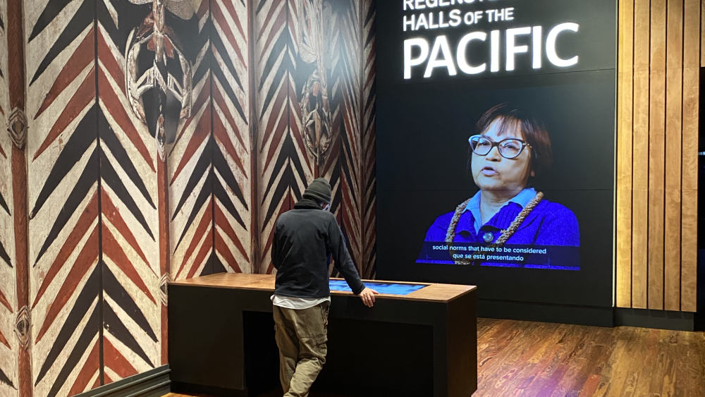 Field Museum Pacific Island exhibit