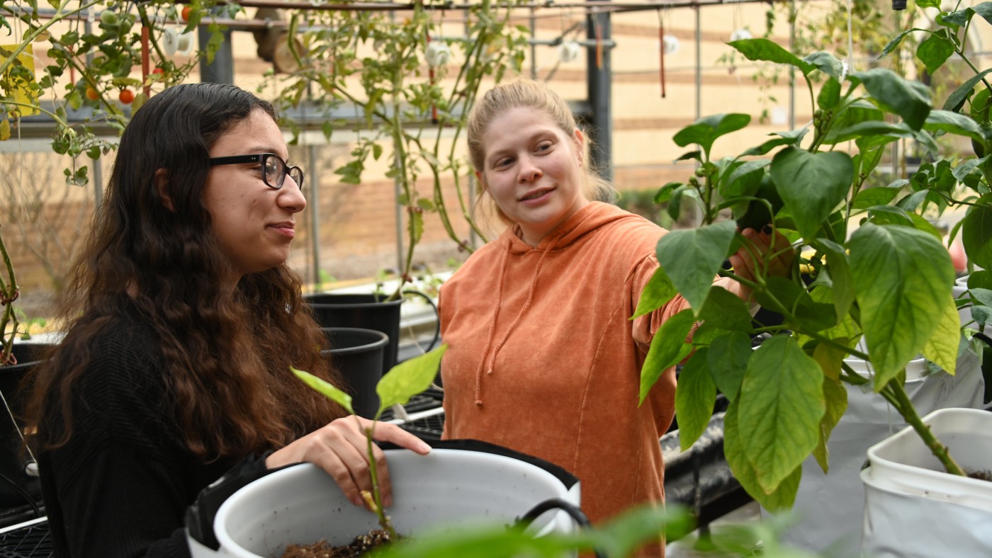 BPS sustainability