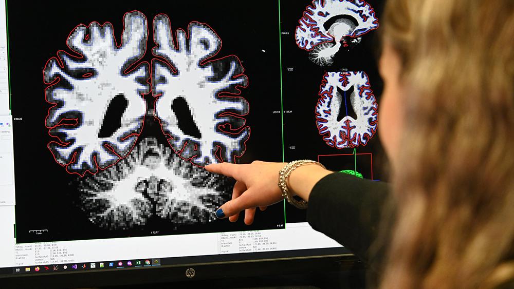 Student viewing image of brain