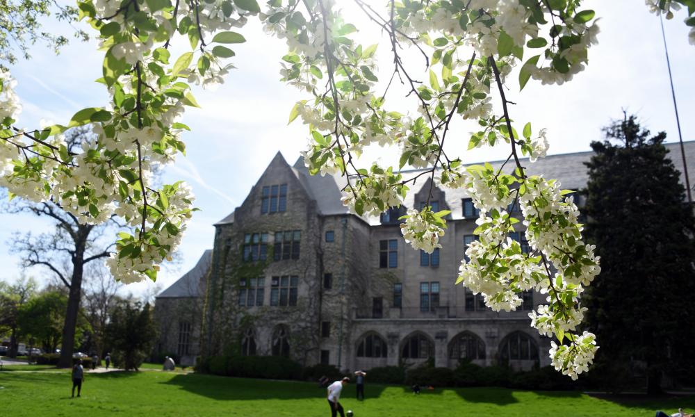 Dominican University