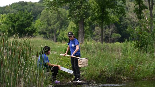 Students at pond with nets